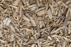 biomass boilers Sholden